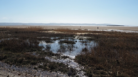 Red Rocks Marsh Nature Reserve c. Gemma Sproston