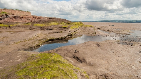 Red Rocks Marsh Nature Reserve c. Carl Skepper