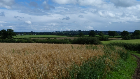 Bickley Hall Farm c. Claire Huxley