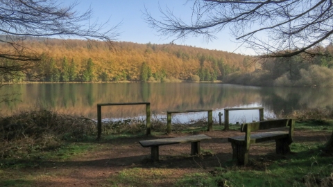 Benches and a view at Trentabank