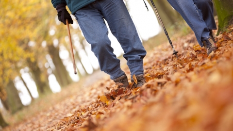 Autumn walk