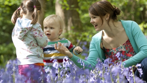 Nature tots, spring
