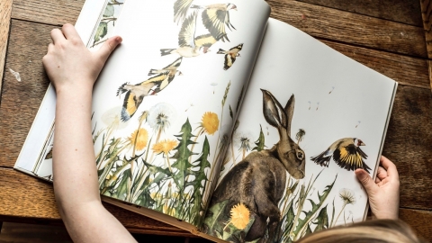 lost words book