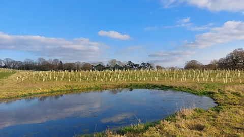 Saltersford farm nature reserve