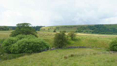 Greenbooth nature reserve