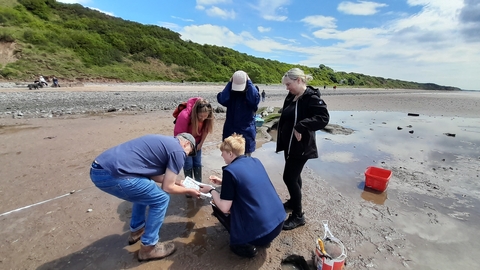 People gathered on a beach looking at items found in the strandline bought in by the tide.