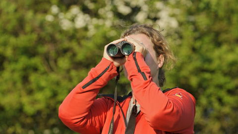 Woman in red jacket holds up binoculars to see birds in the distance.