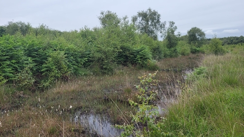 Holcroft Moss