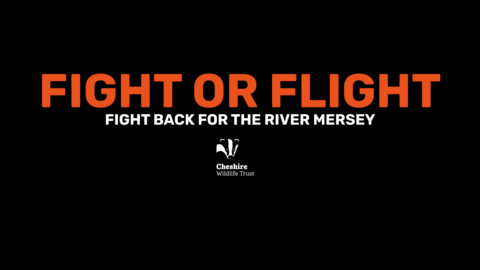 Fight or Flight: Fight back for the River Mersey - banner