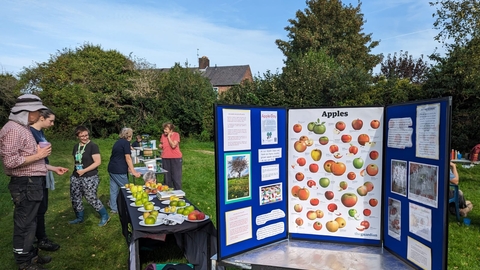 Wirral Wildlife's Apple Afternoon at New Ferry Butterfly Park.
