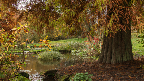 Ness Botanical Gardens
