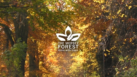 The Mersey Forest