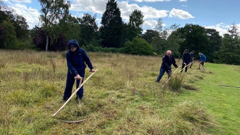 A line of people practicing how to use scythes on a wildflower meadow.
