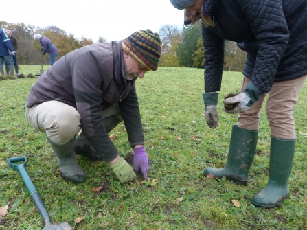 Plug planting c. Claire Huxley