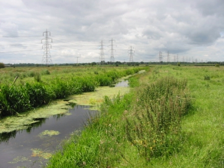Gowy Meadows Nature Reserve