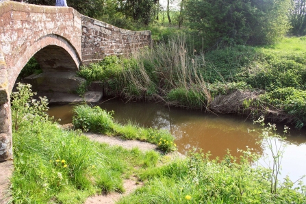 Hockenhall Platts nature reserve