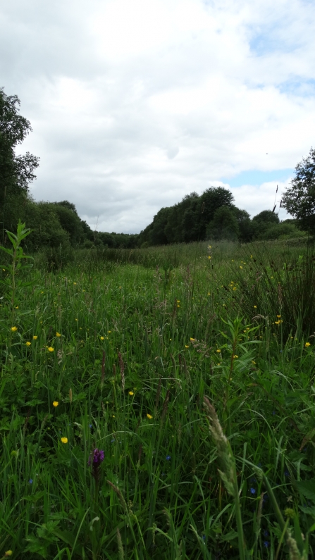 South Macclesfield Development site