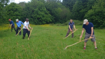 Adam Machin with volunteer scything group