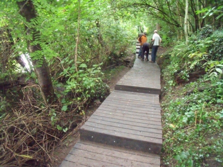 Pathway