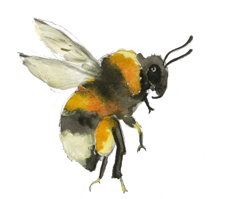 Bumble bee graphic c. Somewhere Off The Grid