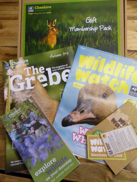 Gift Membership Pack