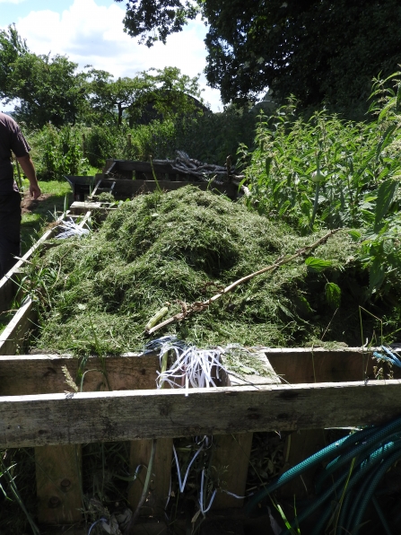 Compost heap at Bickley garden