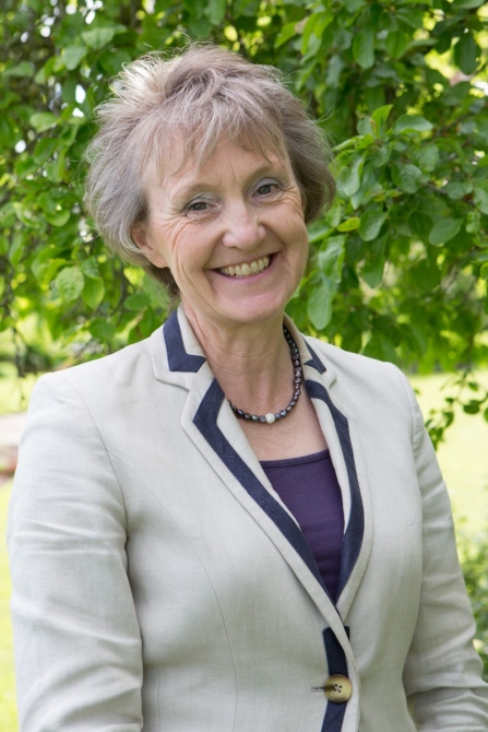 Sue Steer