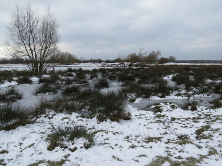 Frozen Gowy Meadows c. Steve Holmes