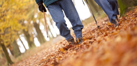 Autumn walk