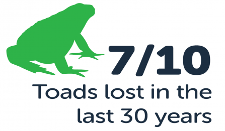 7/10 toads lost in the last 30 years