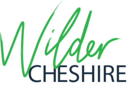 Wilder Cheshire logo