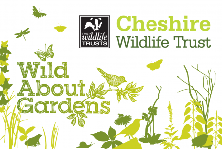 Wild About Gardens