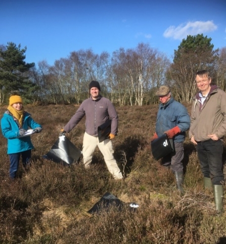 Volunteers placing refugia on Cleaver Heath