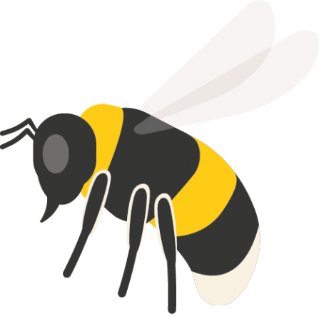 30 Days Wild bee