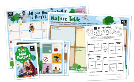 30 days wild pack 2018