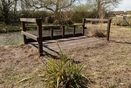 Pond Dipping Platform