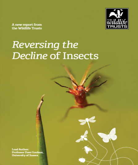 Reversing the Decline of Insects