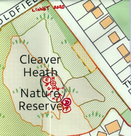 Cleaver Heath