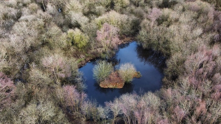 beaver pond drone