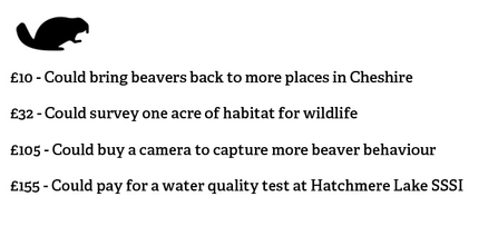 new beaver appeal prompts