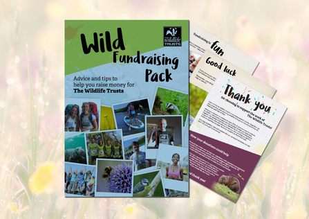 fundraising guide
