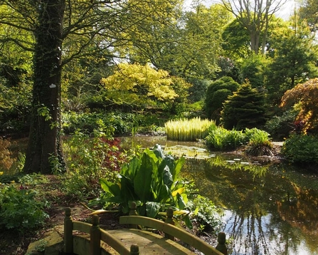 open garden