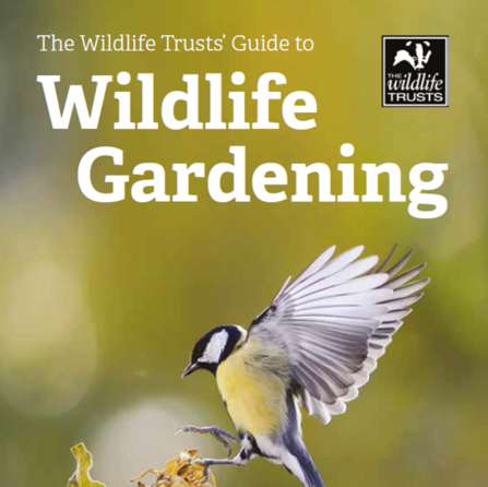 Wildlife Gardening