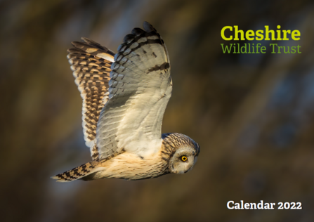 Pigeon Forge Christmas 2022 Calander 2022 Calendar | Cheshire Wildlife Trust