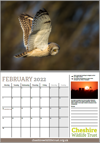 Pigeon Forge Christmas 2022 Calander 2022 Calendar | Cheshire Wildlife Trust