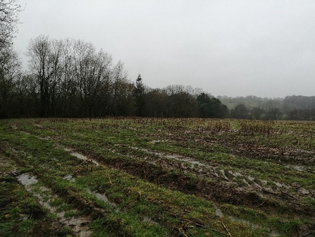 saltersford farm now