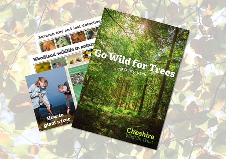 go wild for trees pack