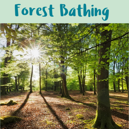 Woodland Wellbeing