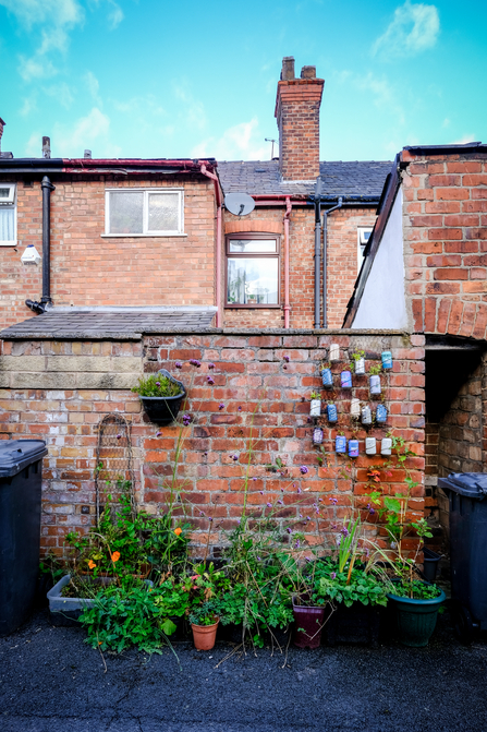 wasted space - container planting behind terrace house