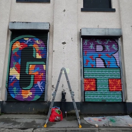 Painted Shutters